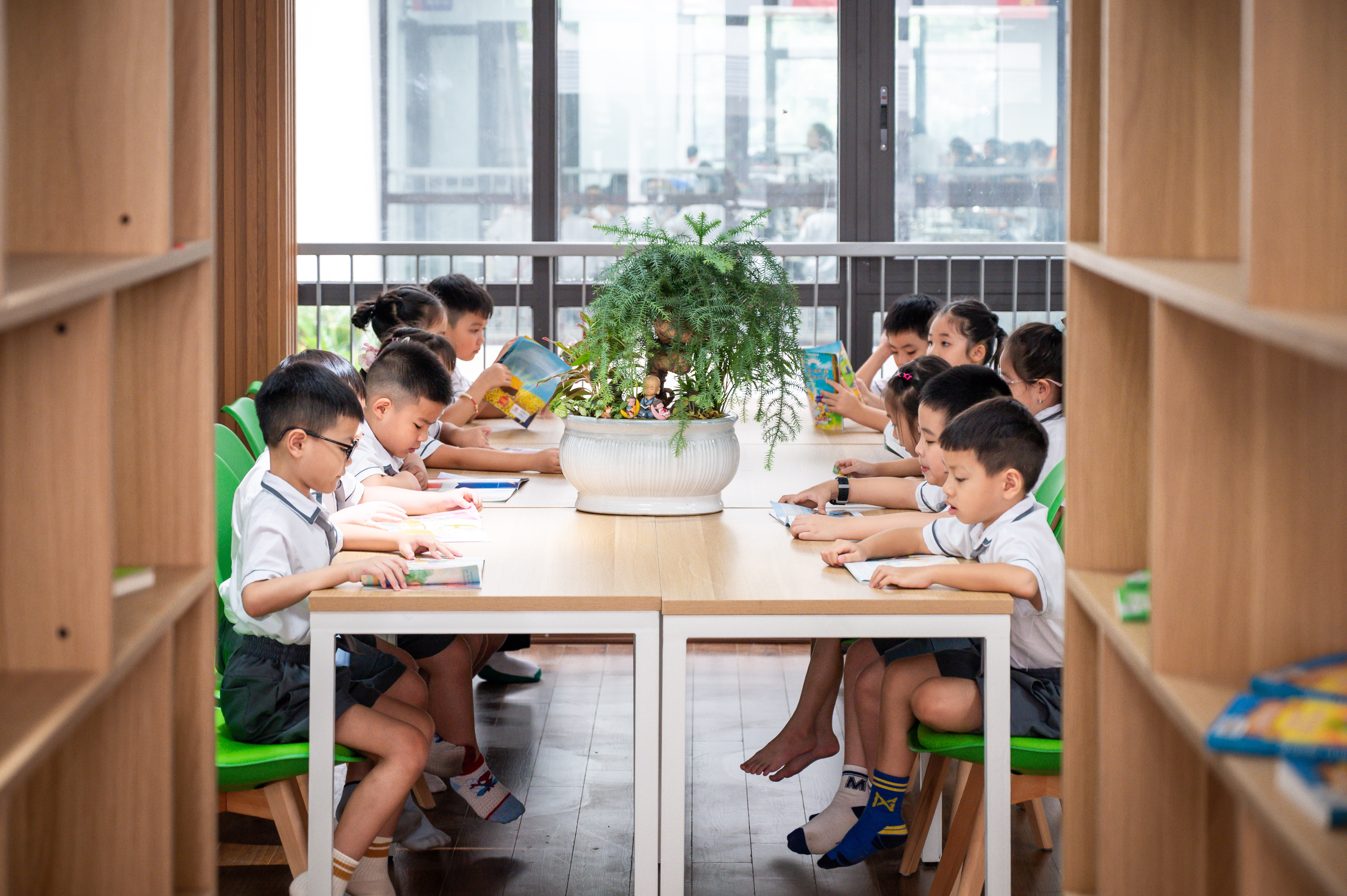 trường ảnh 10 trường ảnh 10