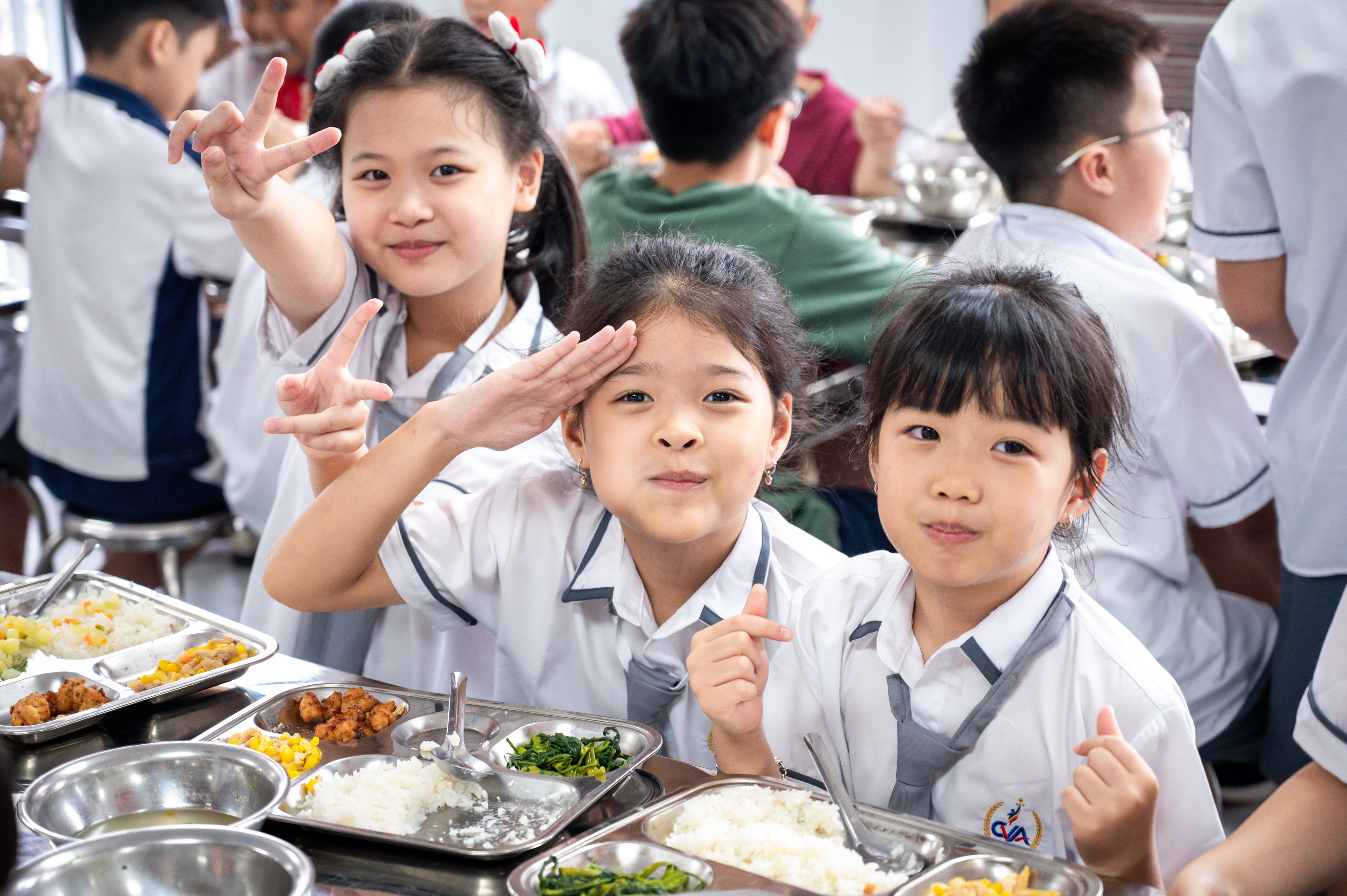 bán trú ảnh 10 bán trú ảnh 10