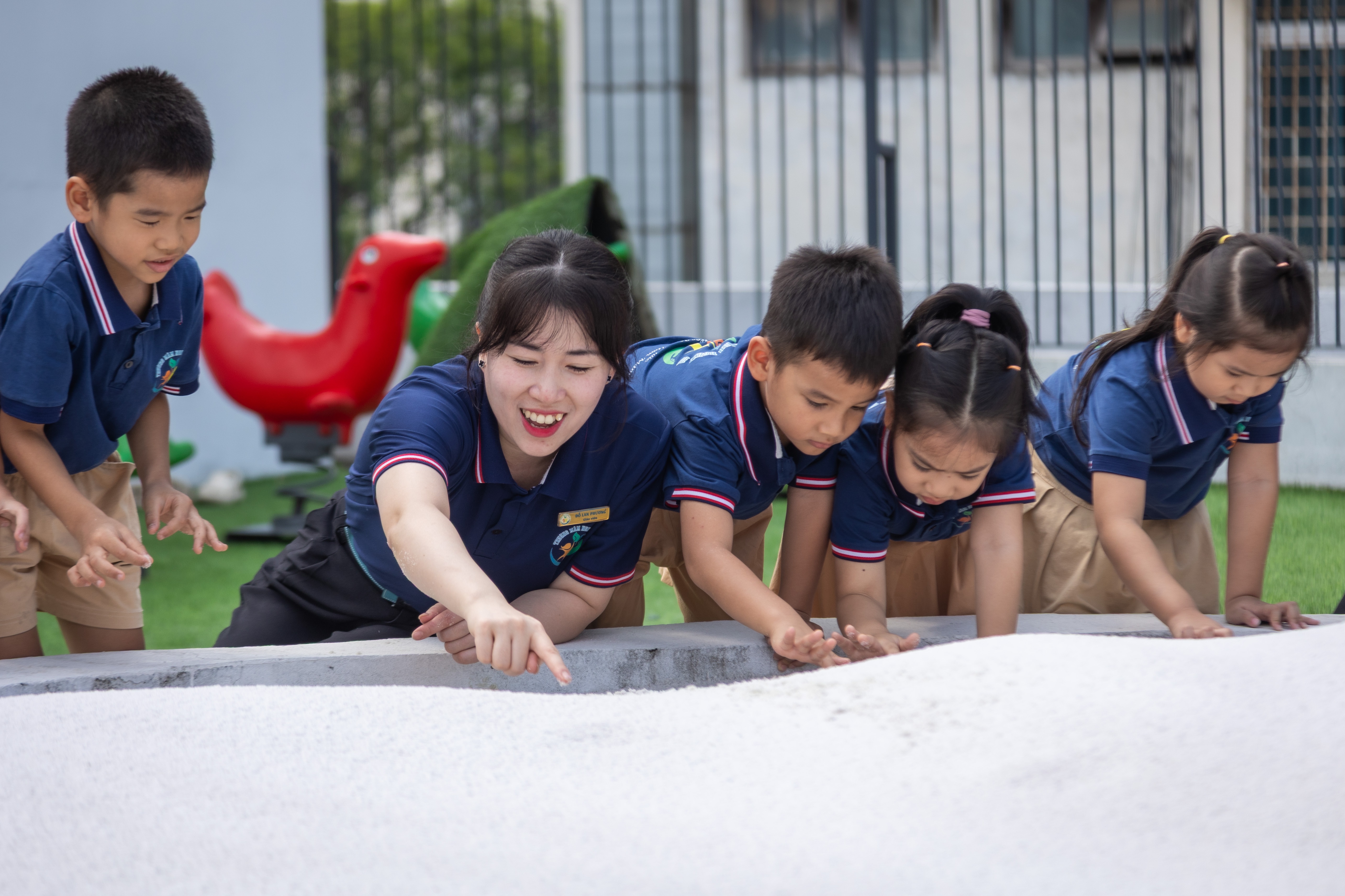 mầm non ảnh 7