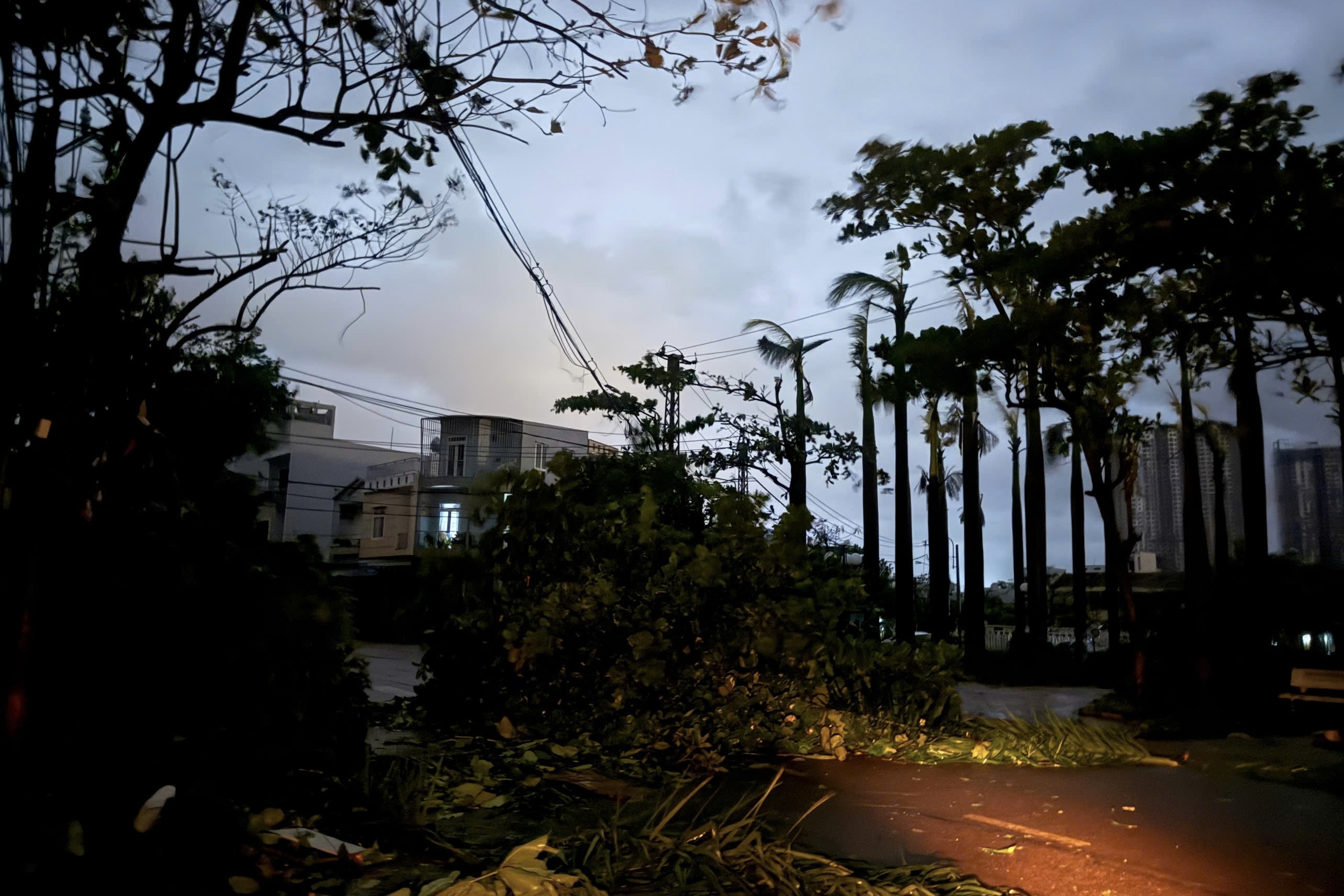 hoang tàng sau bão ảnh 6 hoang tang sau bao anh 6