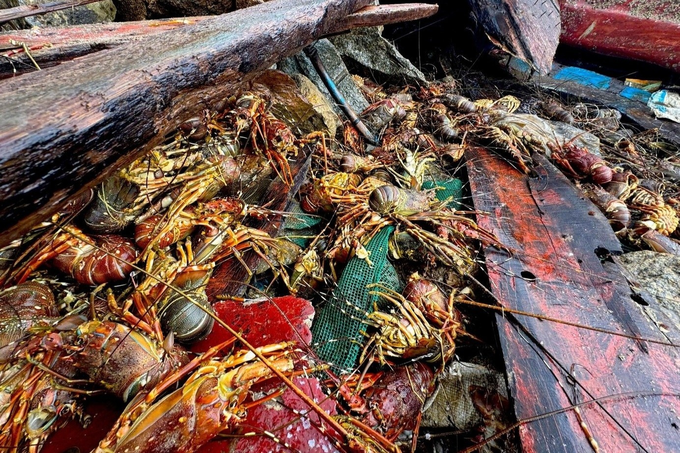 Tom hum chet sach, chat dong boc mui hoi thoi sau lu hinh anh