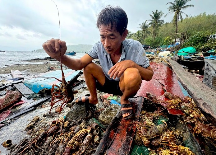 tôm hùm ảnh 5 tom hum anh 5