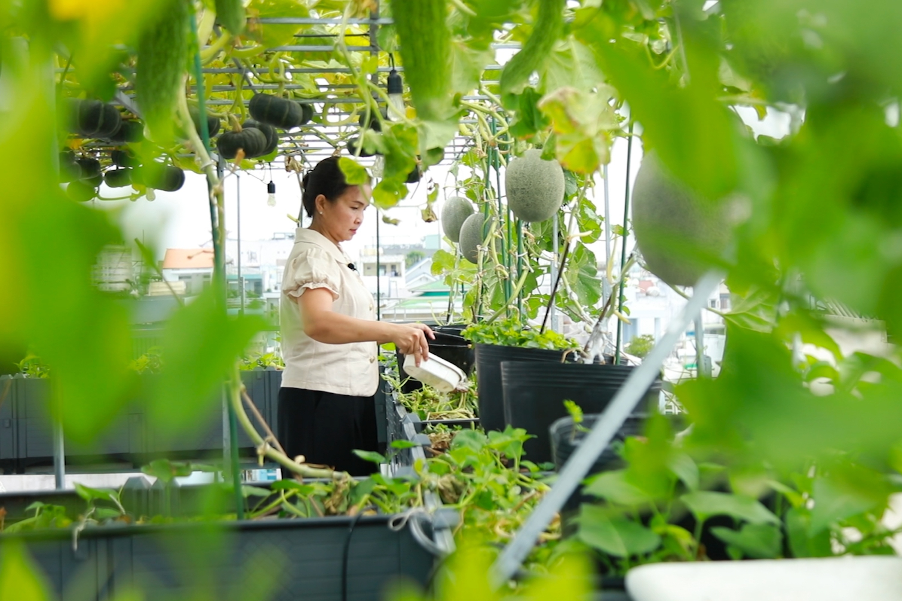 Co vuon san thuong 100 m2, gia dinh TP.HCM khoi lo rau 'sot gia' hinh anh