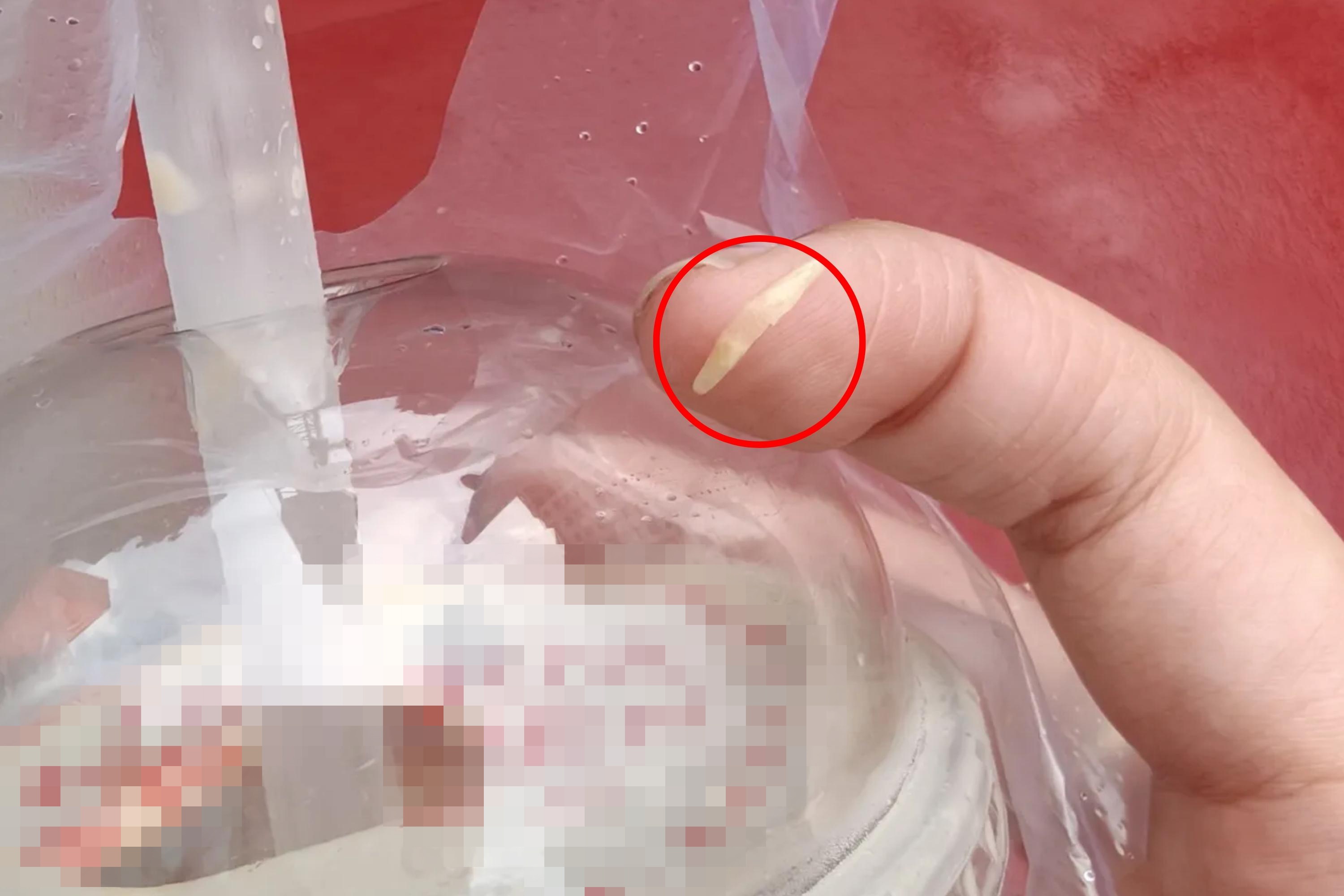 Khach suyt nuot mong tay, quan tra sua noi tieng TP.HCM xin loi hinh anh