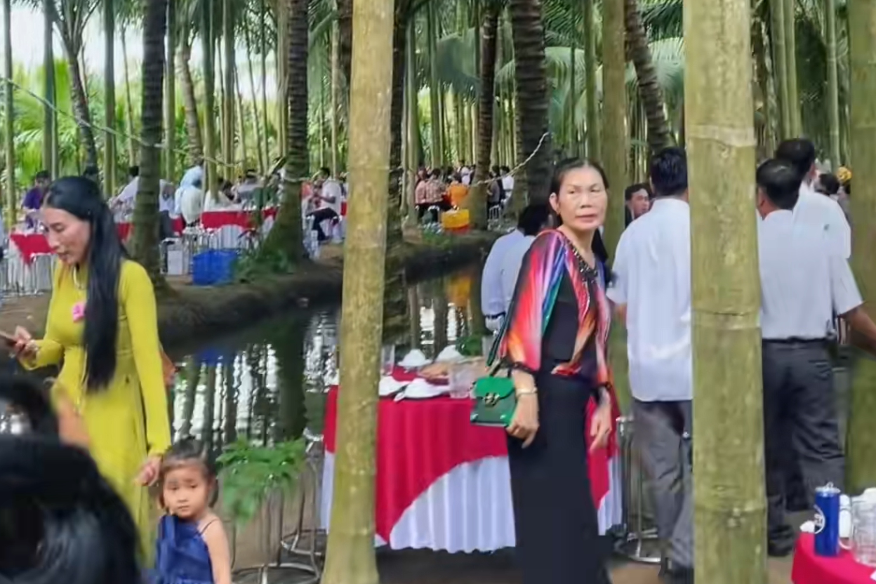 Dam cuoi mien Tay giua vuon dua 'gay sot' hinh anh