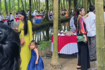 Moi hon 700 khach an cuoi giua vuon dua 10.000 m2 o mien Tay hinh anh