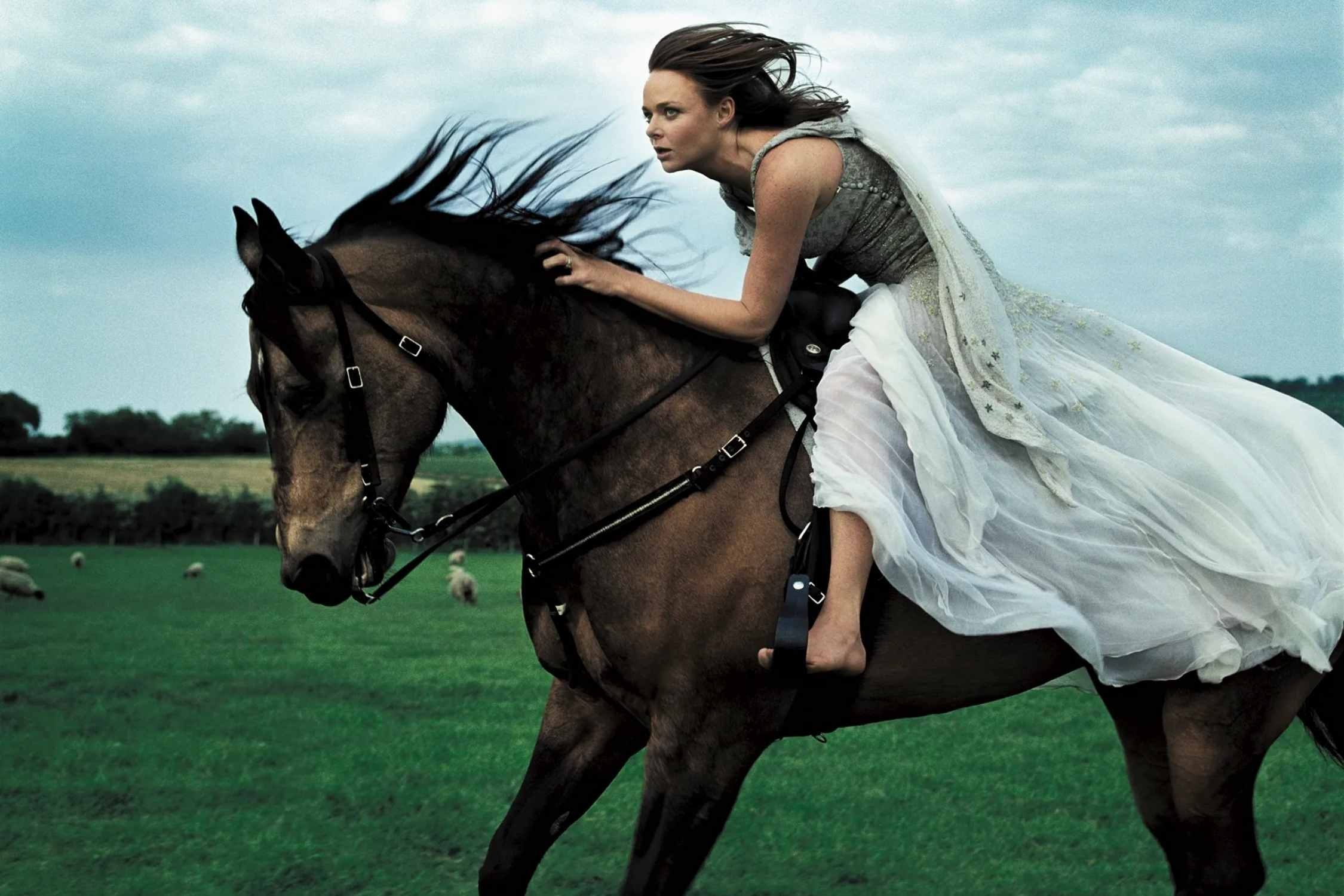 Thong diep nam Binh Ngo 2026 hinh anh