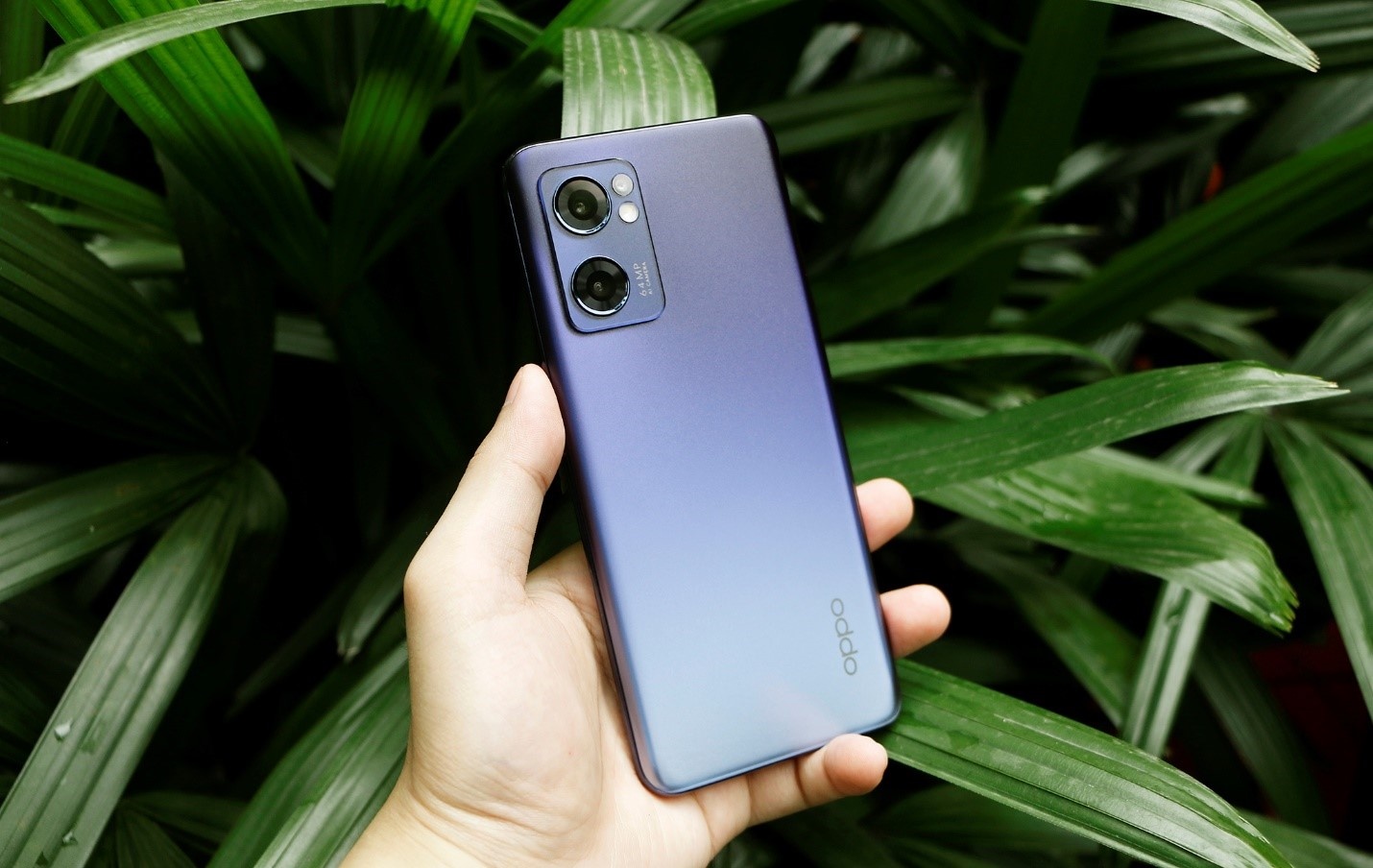 iphone 11 series anh 2