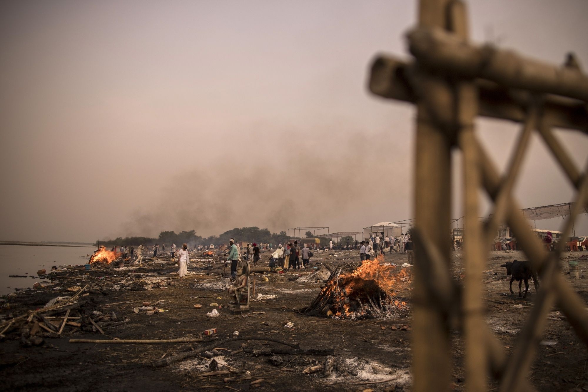 Covid-19 An Do anh 2