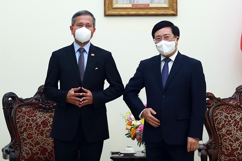 Viet Nam de nghi Singapore tiep tuc hop tac ve tieu vung Mekong hinh anh