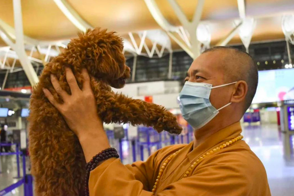 giai cuu cho meo anh 1