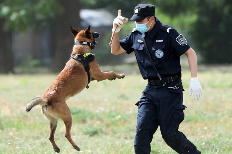 Truong canh sat Trung Quoc ban dau gia canh khuyen 'nhat gan' hinh anh
