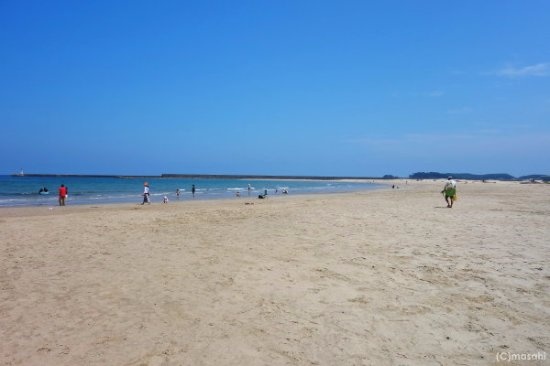 Mot thuc tap sinh Viet Nam o Nhat Ban mat tich khi di tam bien hinh anh