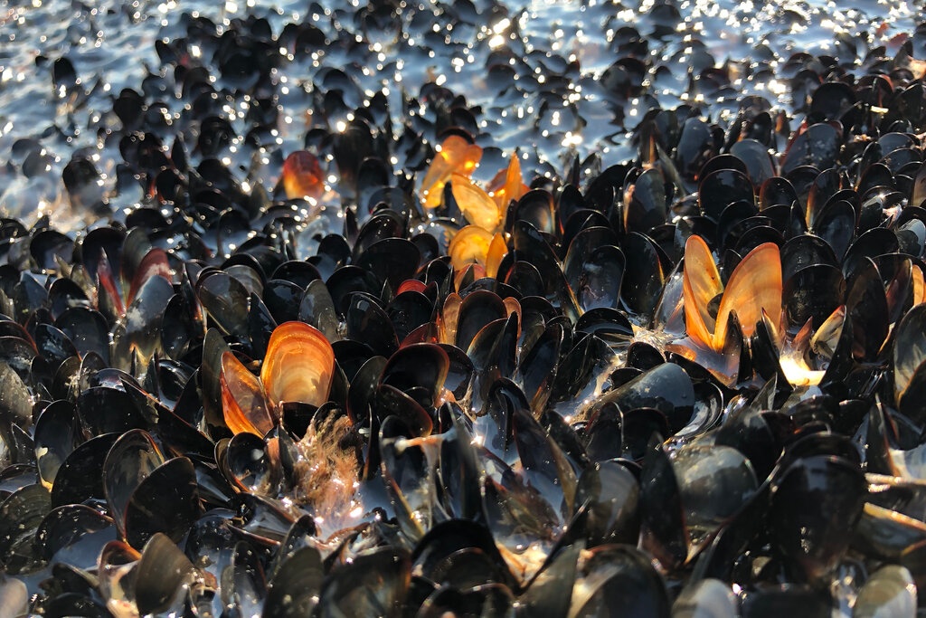 nang nong ky luc anh 1