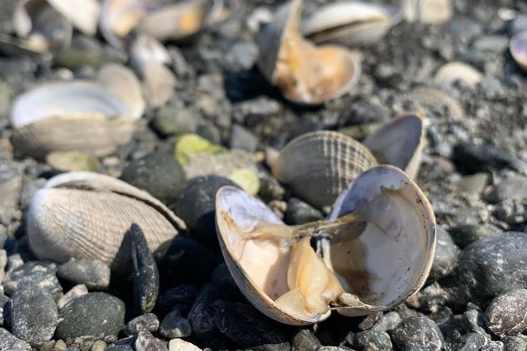 nang nong ky luc anh 8