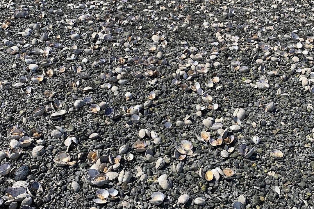 nang nong ky luc anh 6