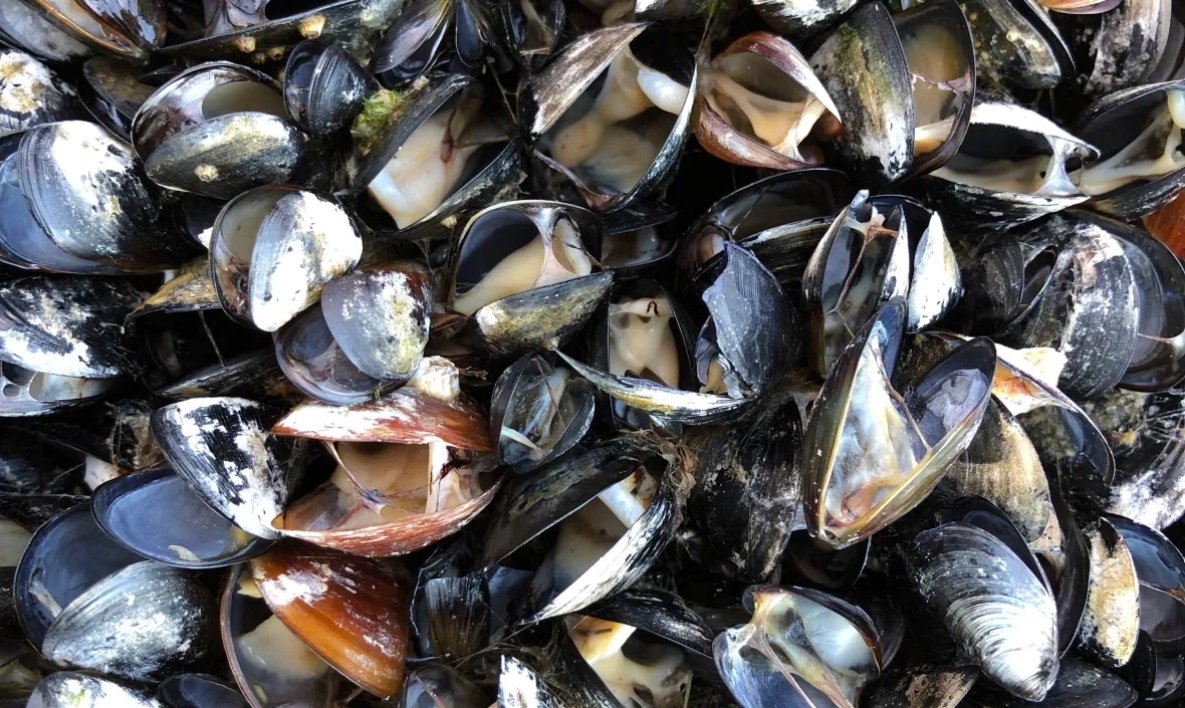 nang nong ky luc anh 5