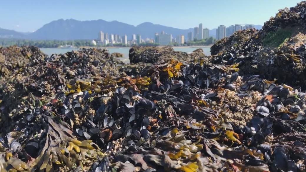 nang nong ky luc anh 3