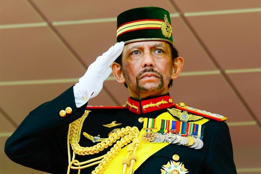 Dien mung ky niem ngay sinh thu 75 cua quoc vuong Brunei hinh anh