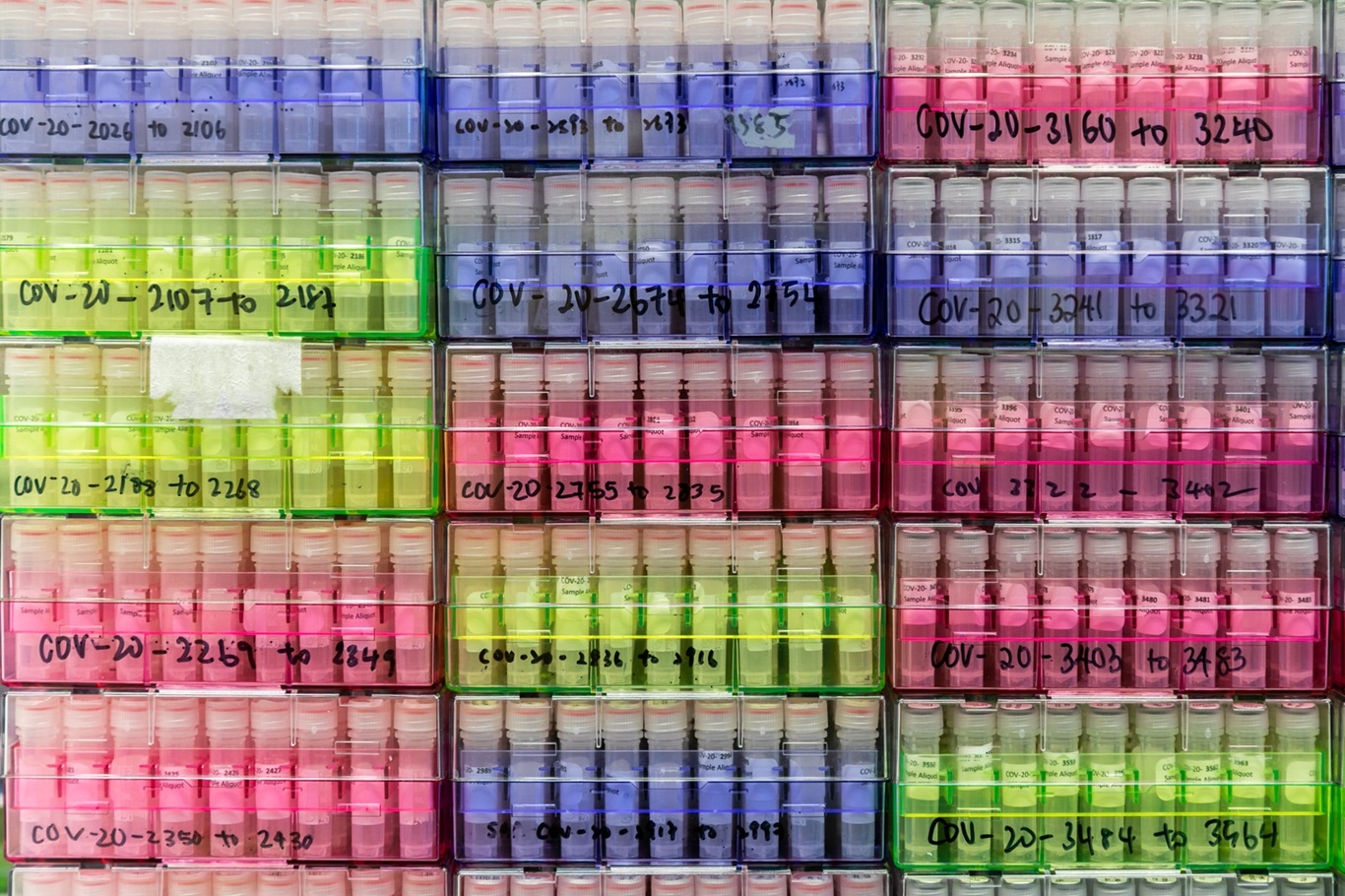 Tai sao bien chung duoc dat ten Delta, Alpha? hinh anh