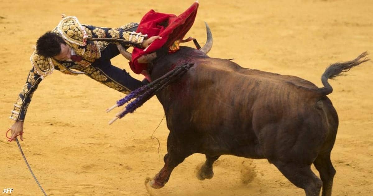 Nguoi dan ong bi bo huc chet trong le hoi o Tay Ban Nha hinh anh