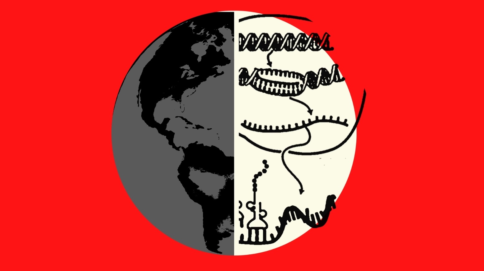 Giac mo 'thua thang xong len' cho cong nghe mRNA hinh anh