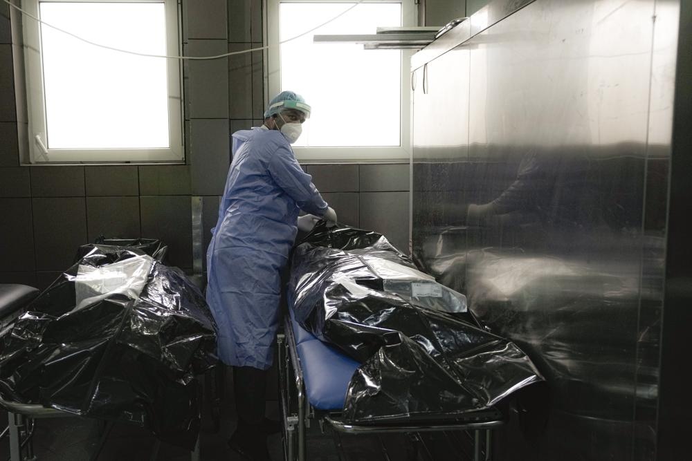 tam dich the gioi anh 5