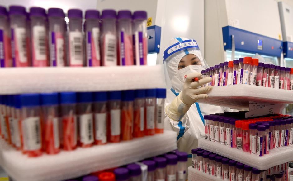 Zero Covid-19 anh 12