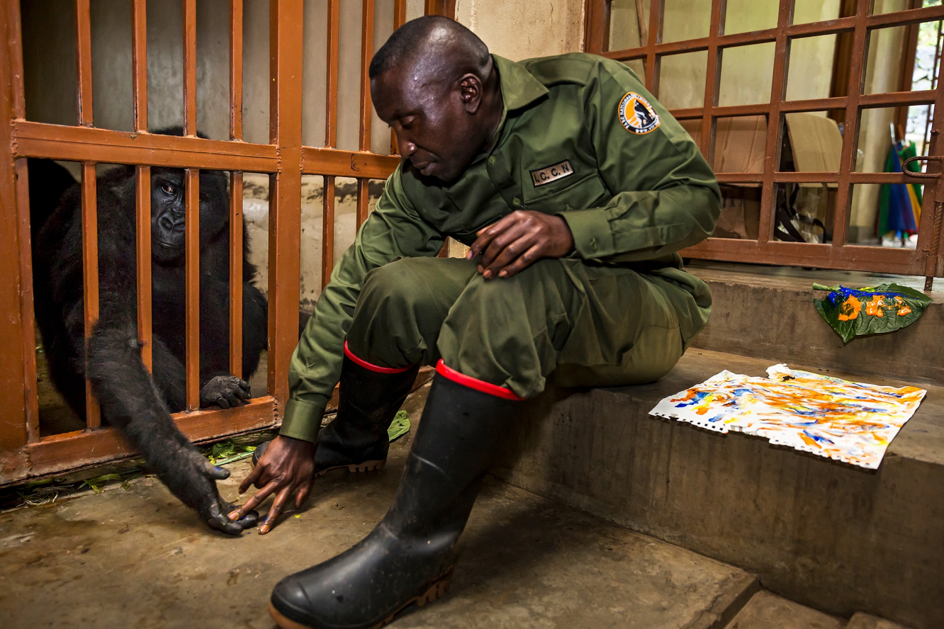 con khi mo coi Ndakasi anh 7