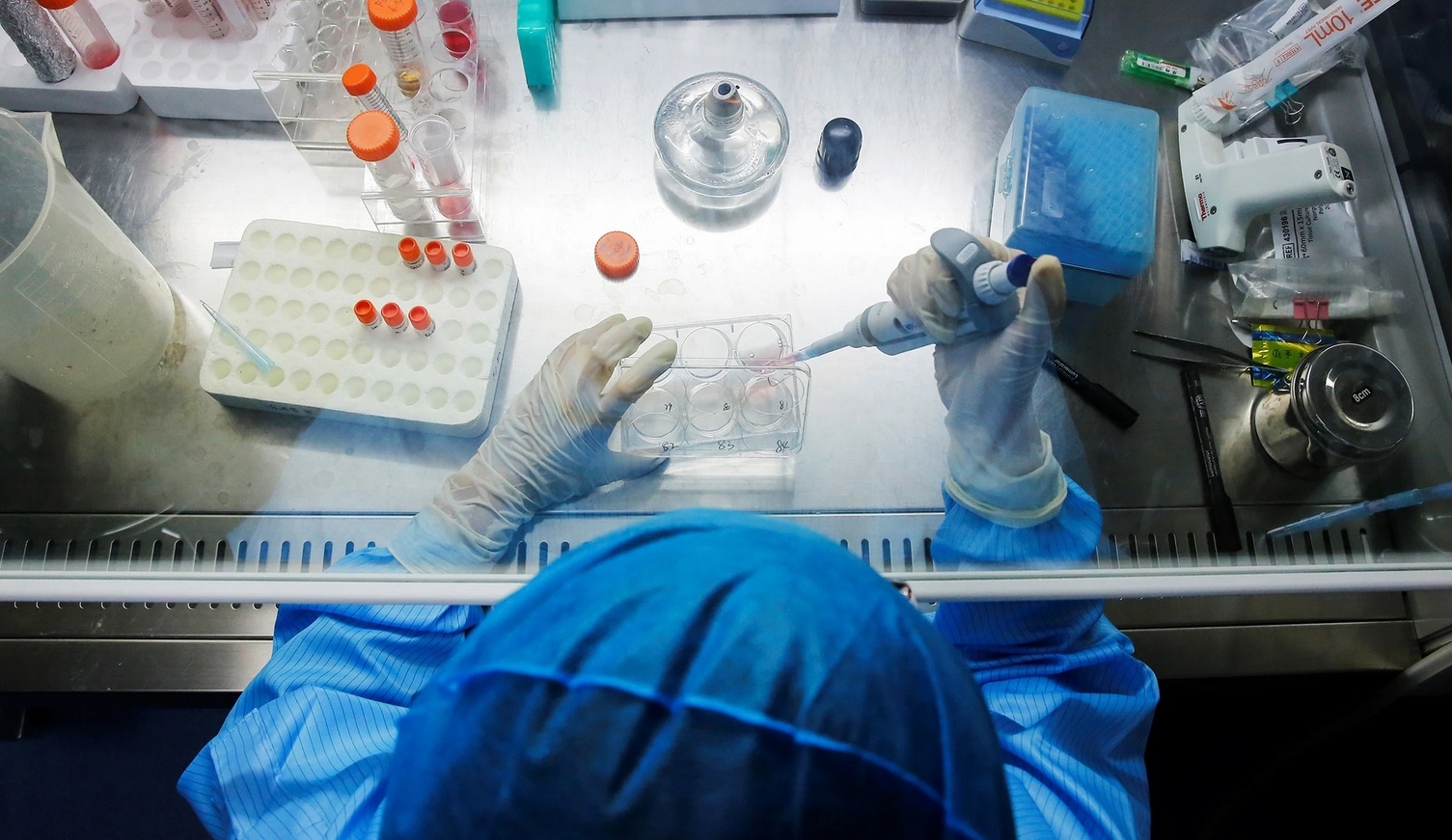 WHO tung khuyen cao Ukraine tieu huy mam benh co nguy co cao hinh anh