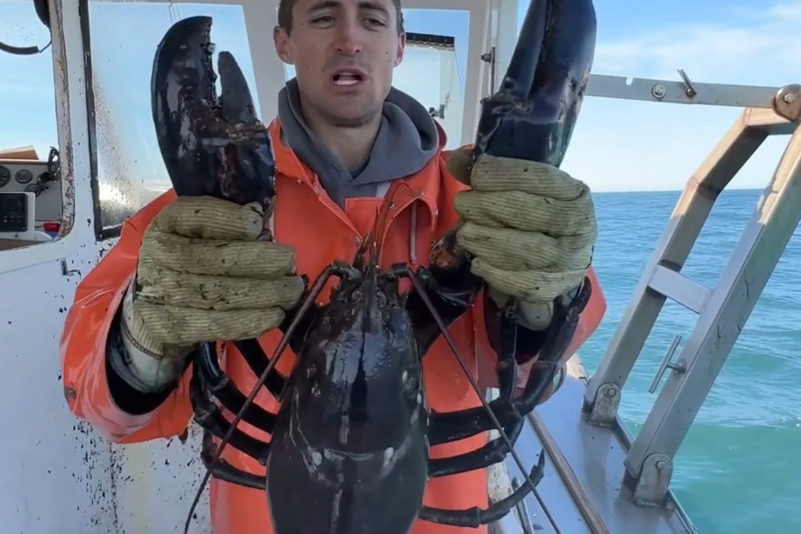 Bat duoc tom hum khong lo hon 100 tuoi, ngu dan tha lai xuong bien hinh anh