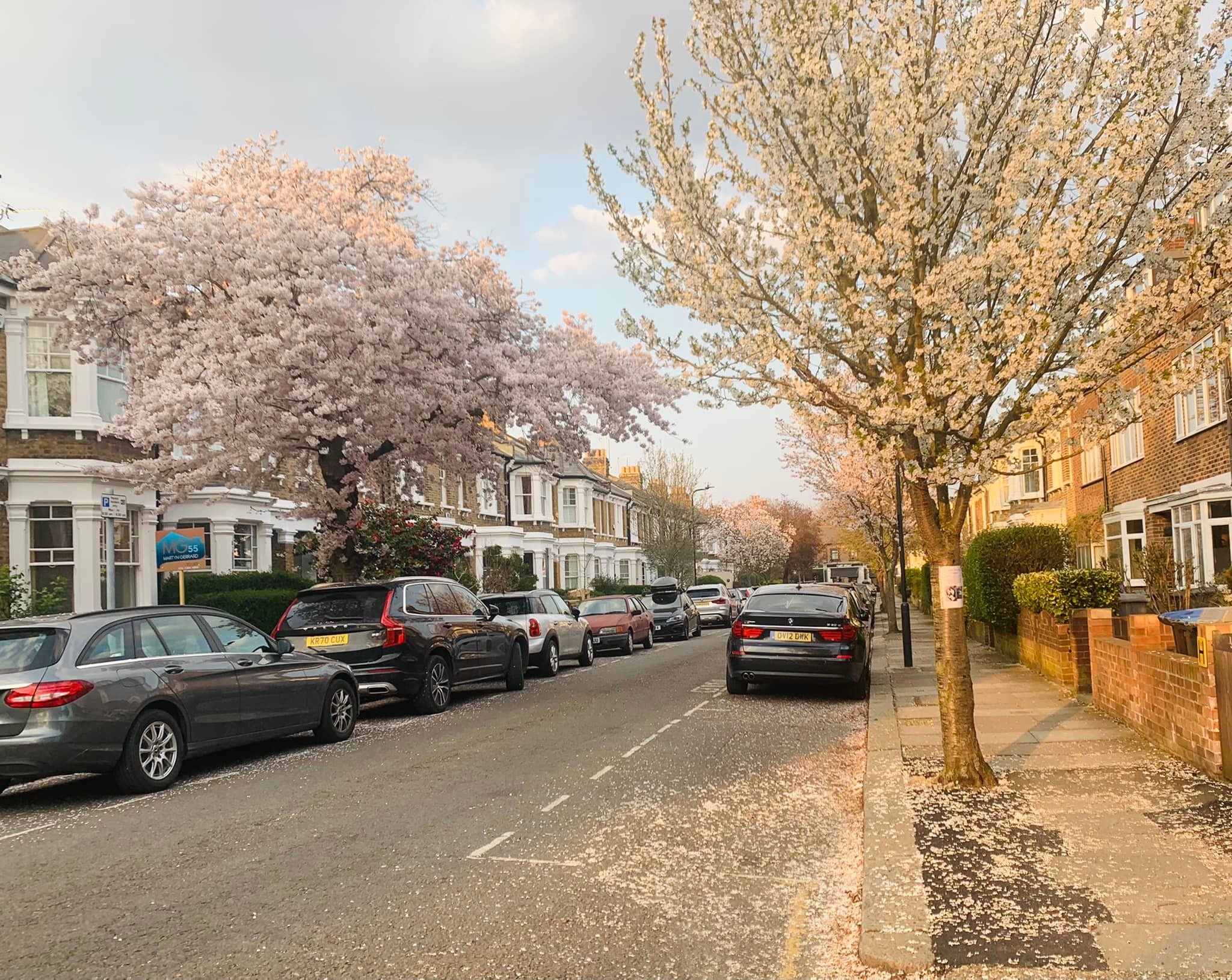 bao gia o London anh 4