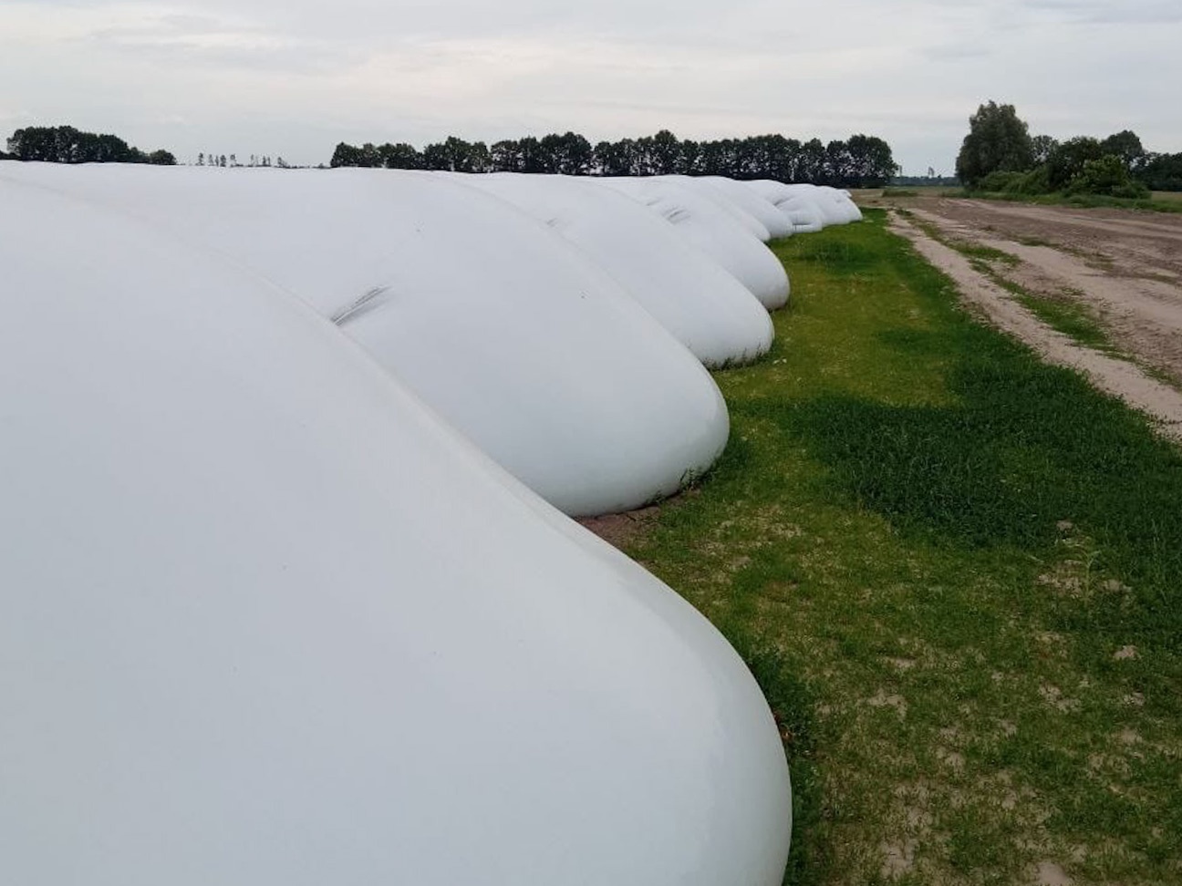 Ukraine xuat khau lua mi anh 1