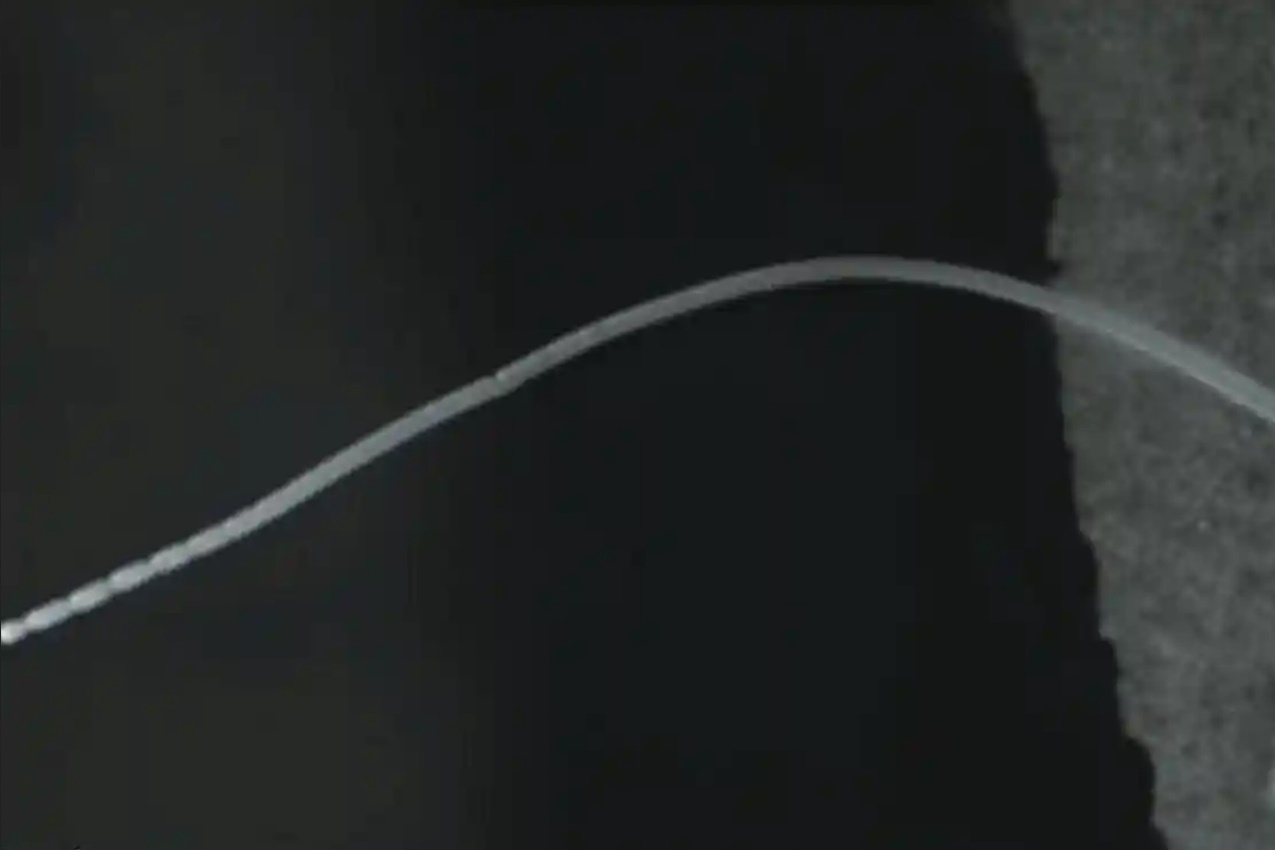 Phat hien loai vi khuan lon nhat the gioi hinh anh