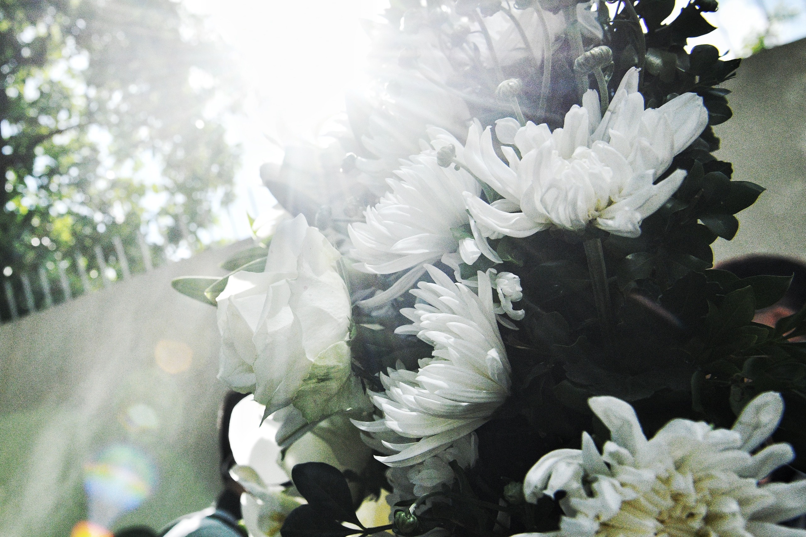 tuong niem ong Abe anh 8