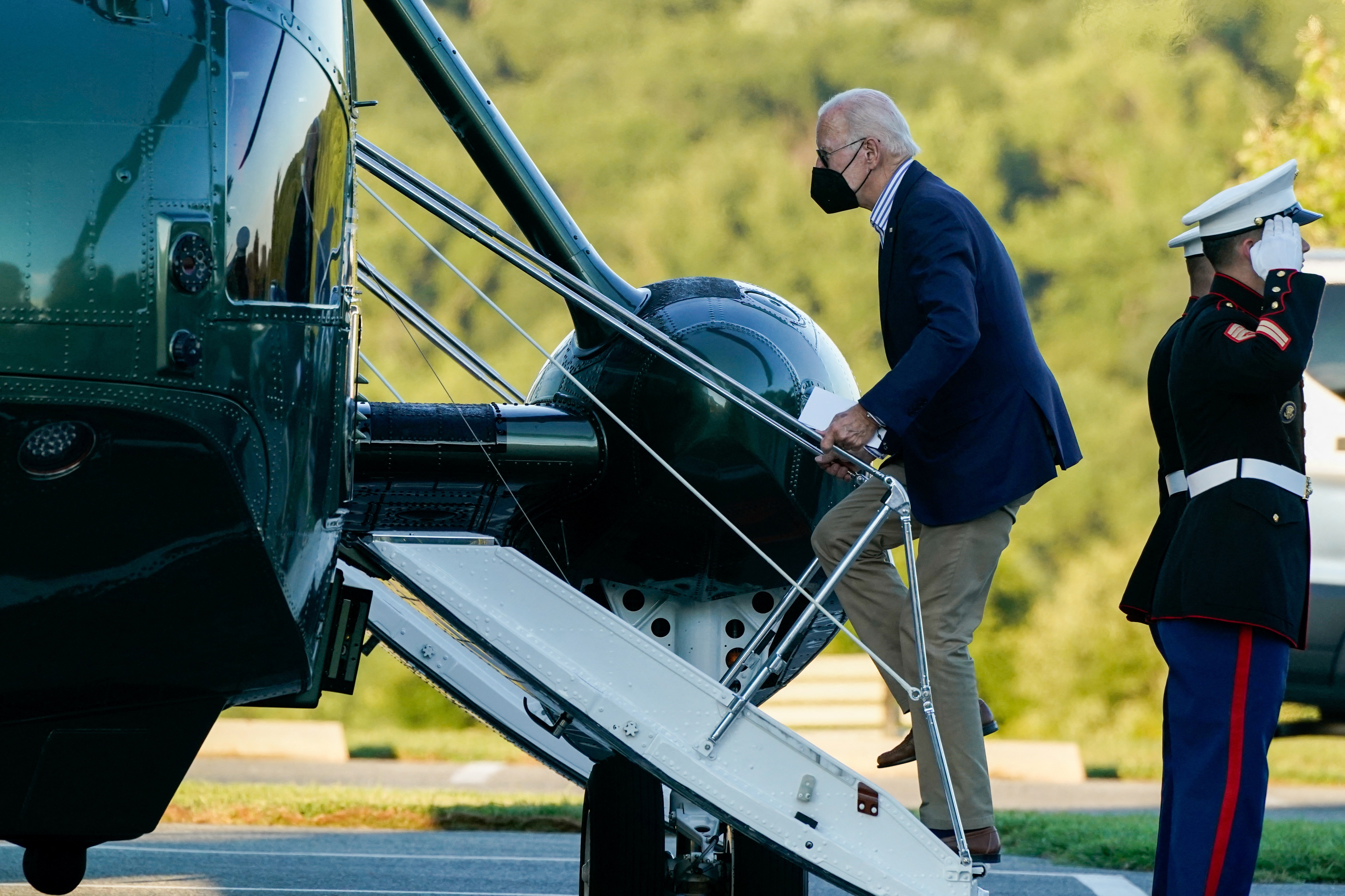 tranh mat ong Biden anh 2