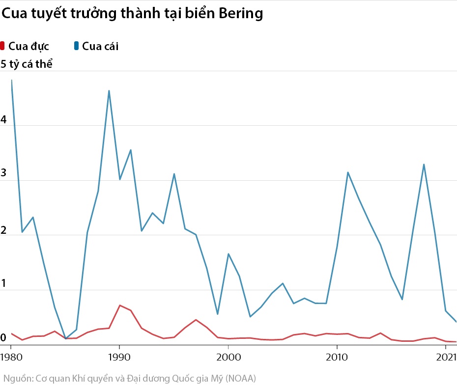 cua tuyet bien mat anh 2