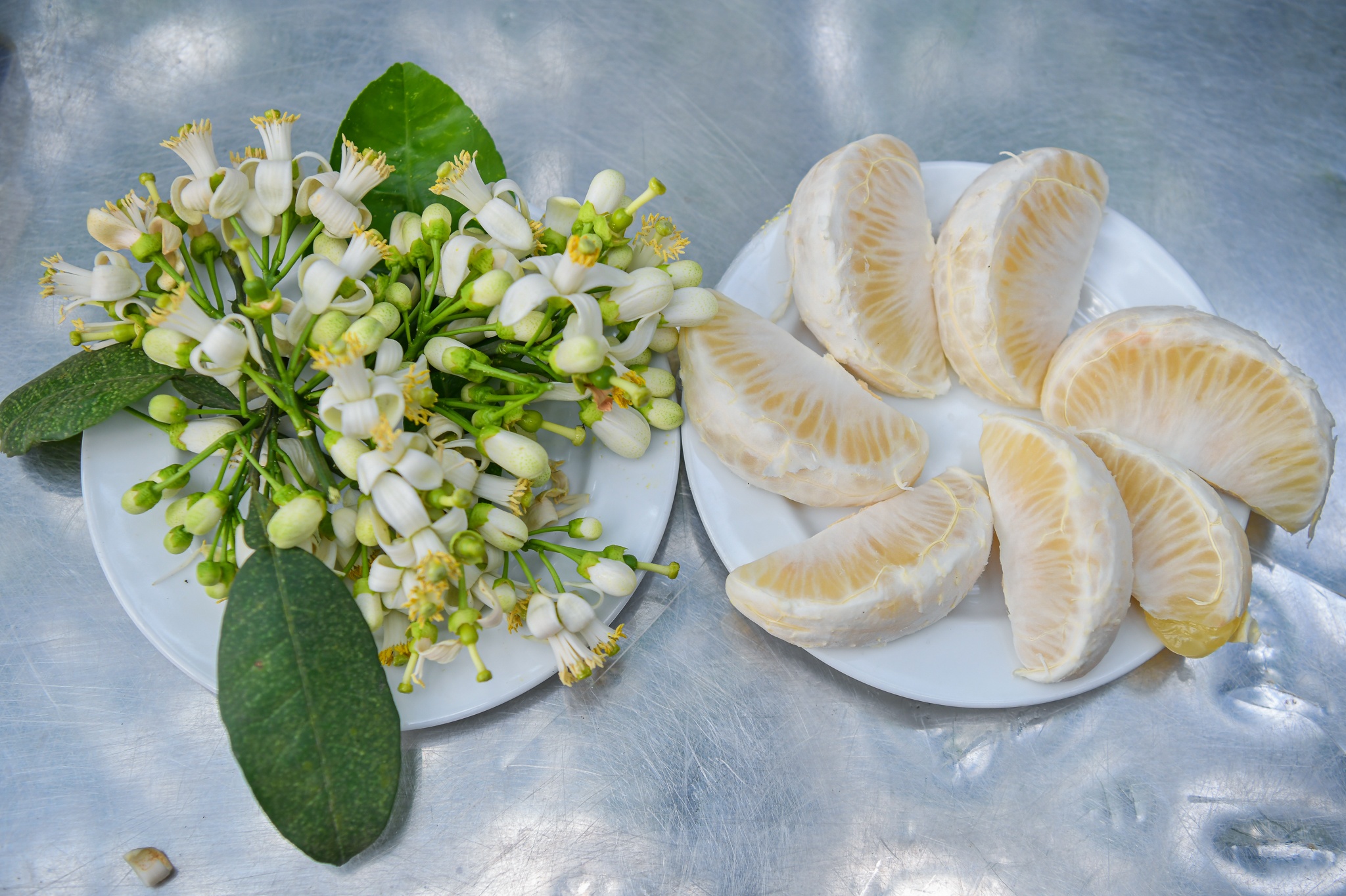 hop tac Viet My anh 5