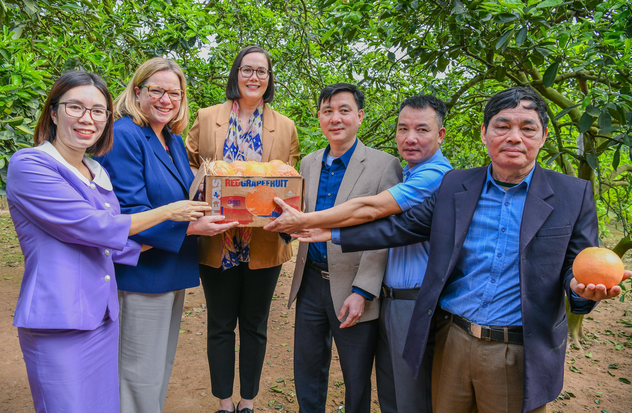 hop tac Viet My anh 7