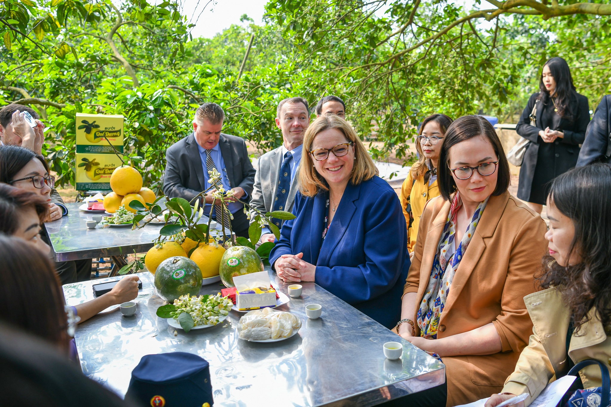 hop tac Viet My anh 2