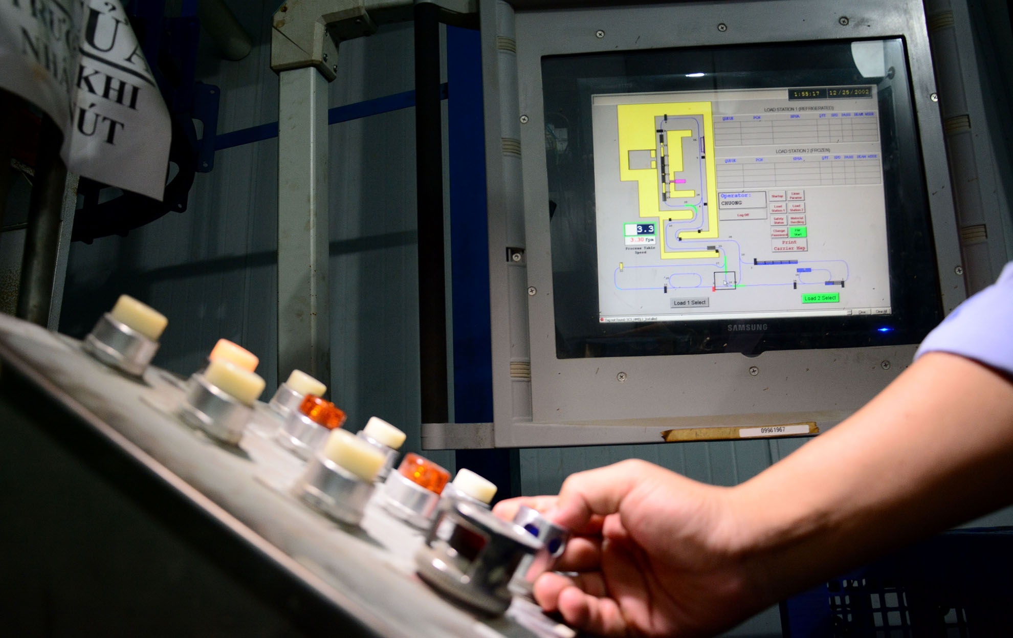 trai cay Viet Nam anh 2