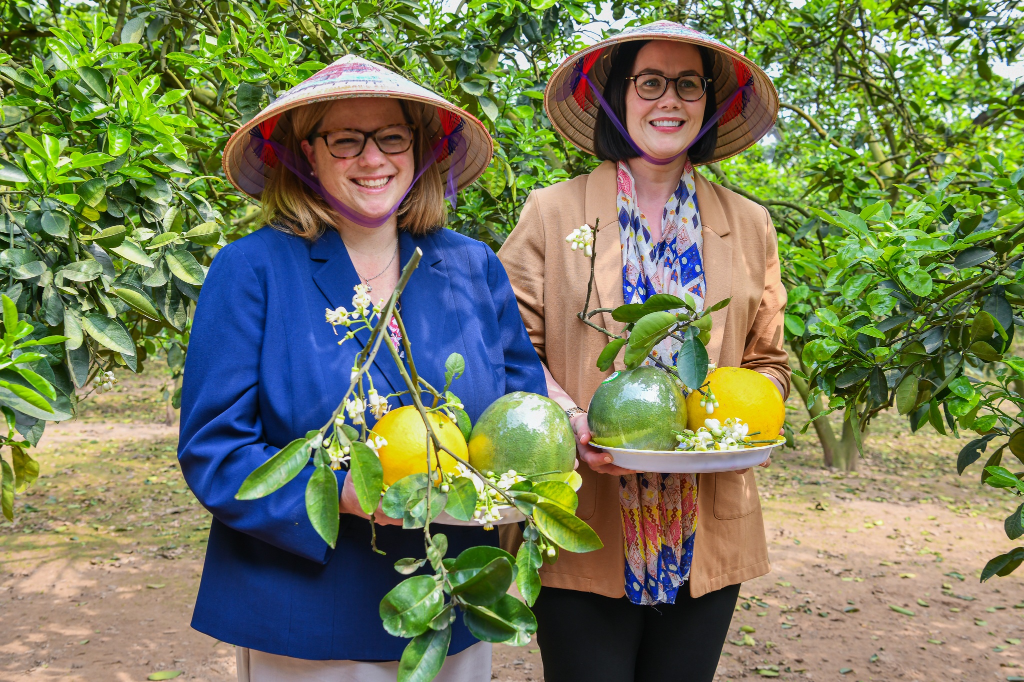 Bay loai qua Viet Nam duoc xuat sang My, trong doi loai thu 8 va 9 hinh anh