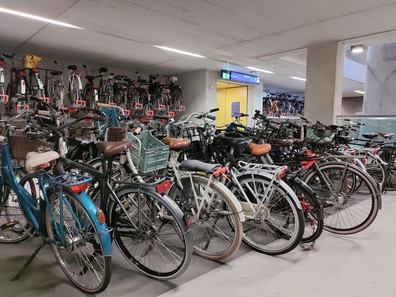 bai gui xe dap,  Ha Lan anh 4