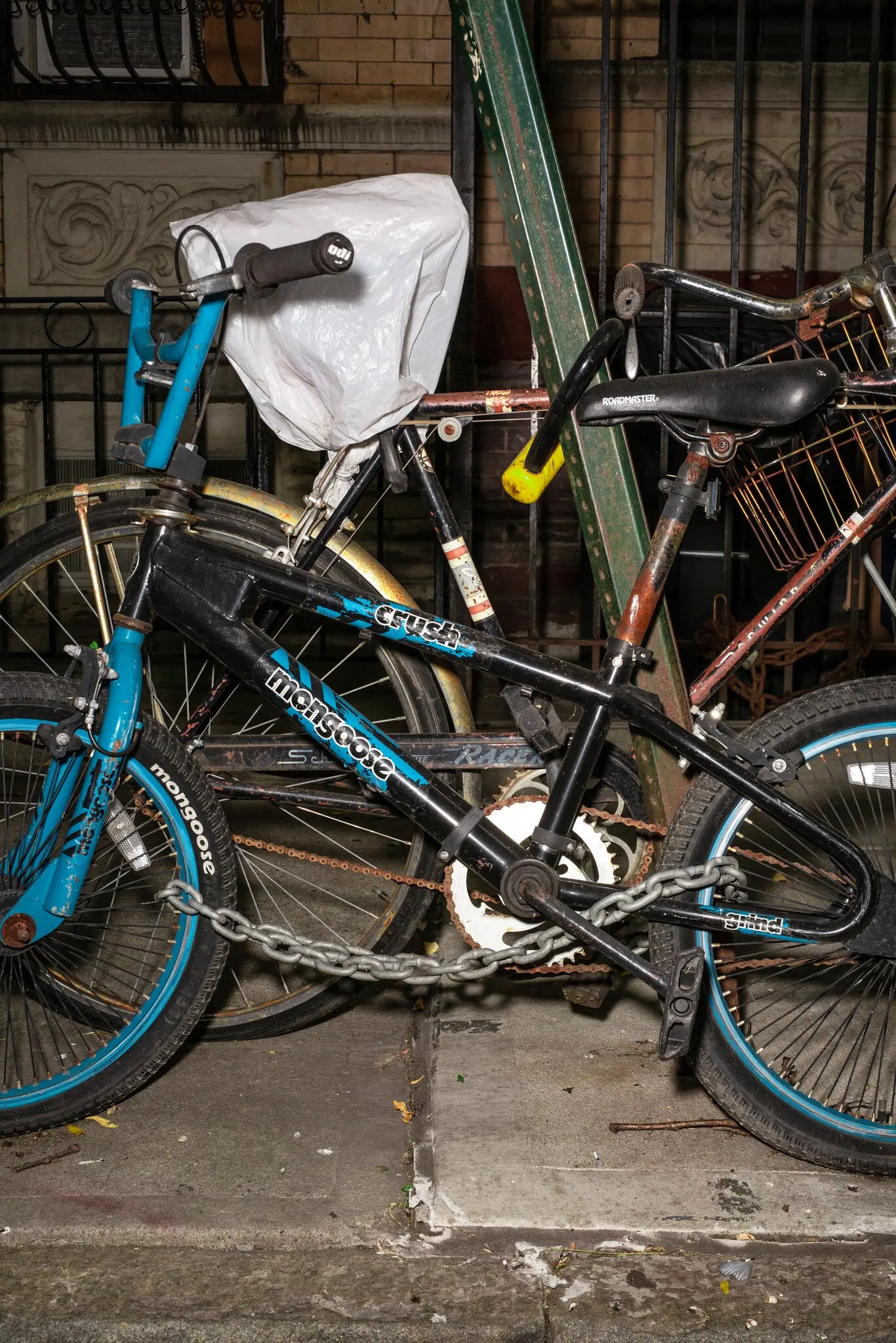 bai gui xe dap,  Ha Lan anh 5