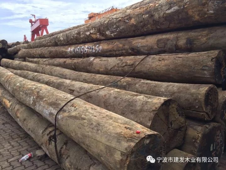 Trung Quoc thu loi lon tu go lau? hinh anh