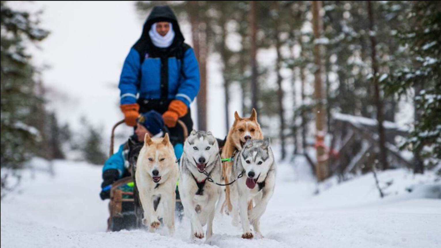 Phan Lan tim kiem nguoi nhap cu anh 1