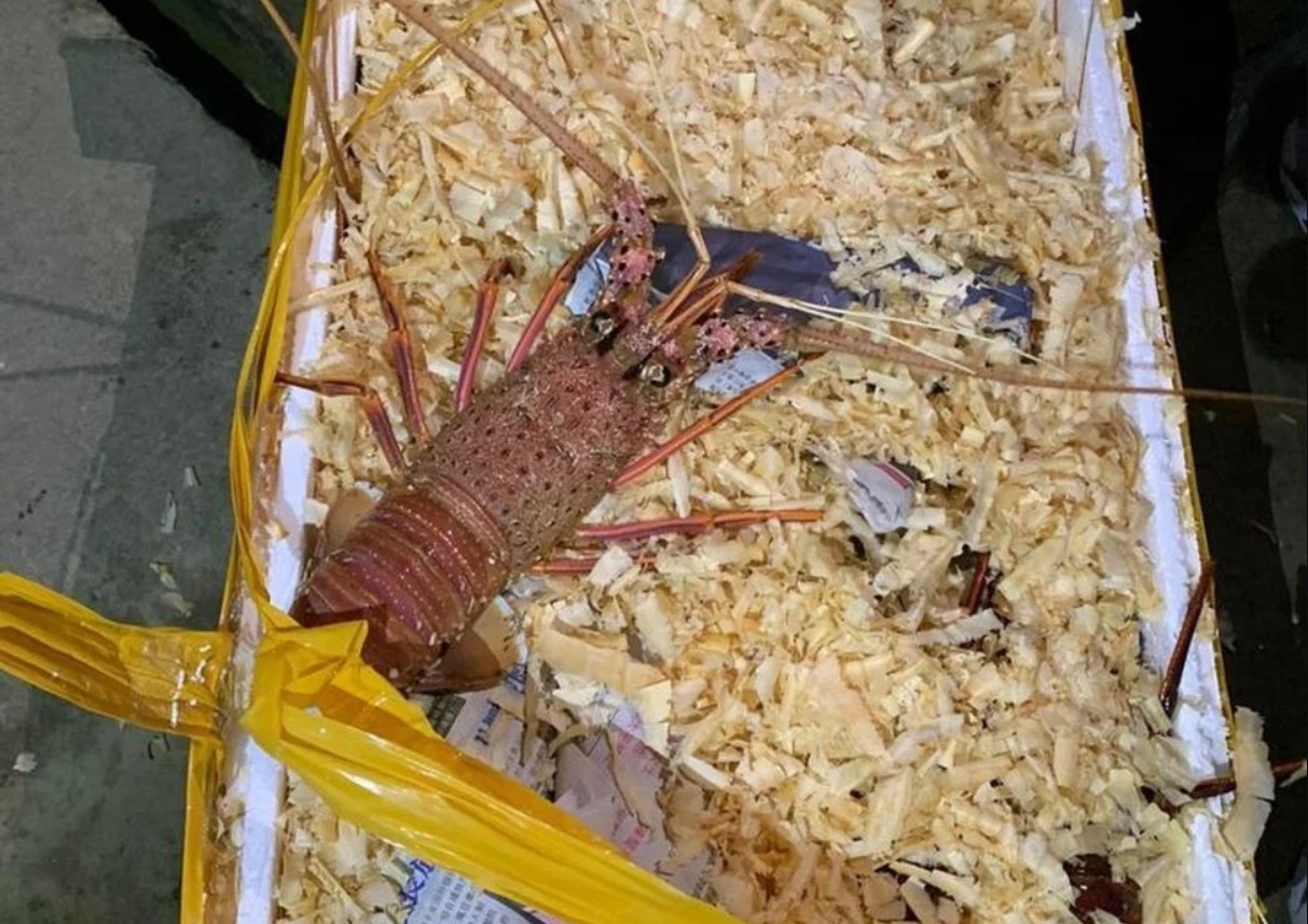 Cang thang ngoai giao Trung Quoc Australia anh 3