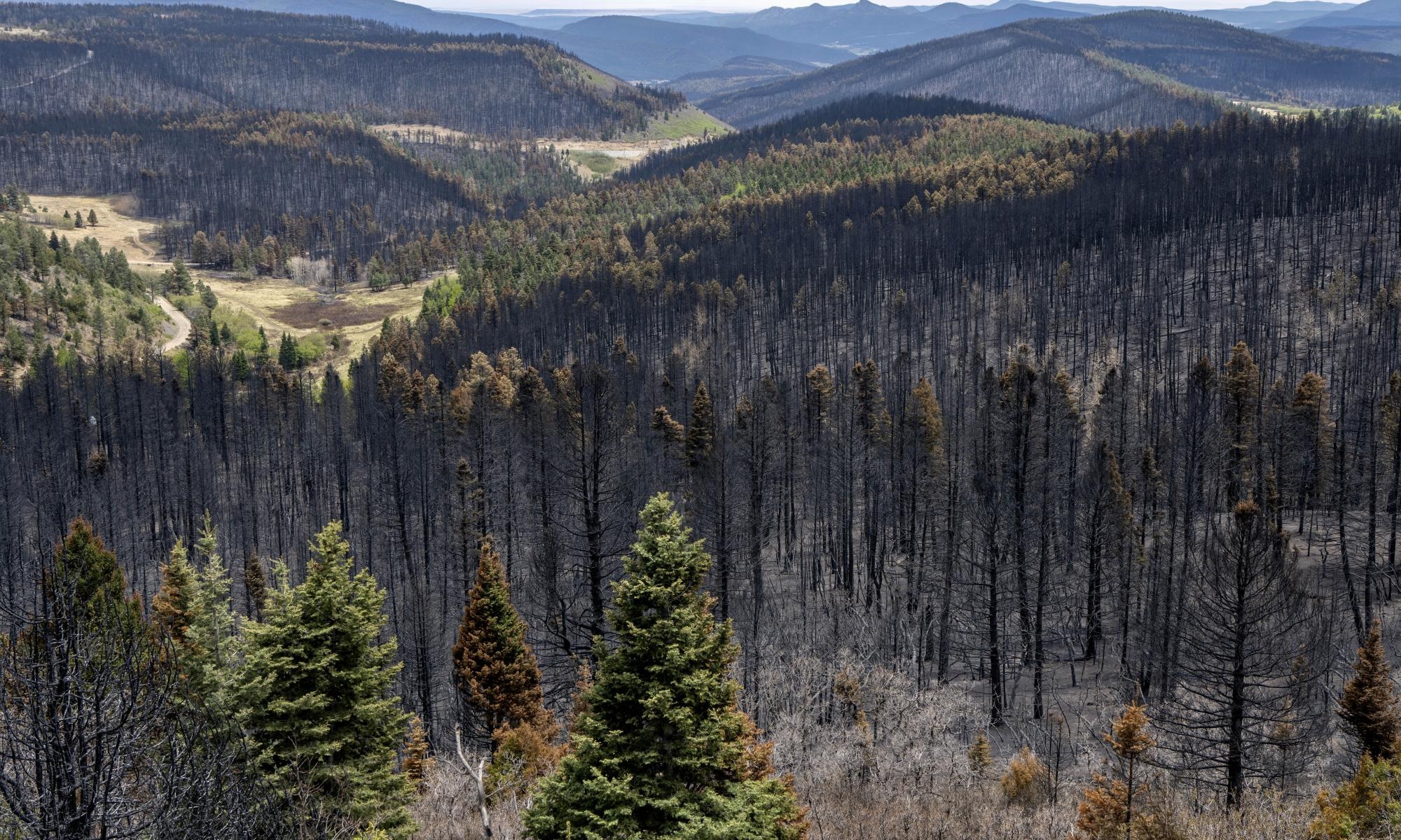 Tham hoa thien nhien tai My anh 1