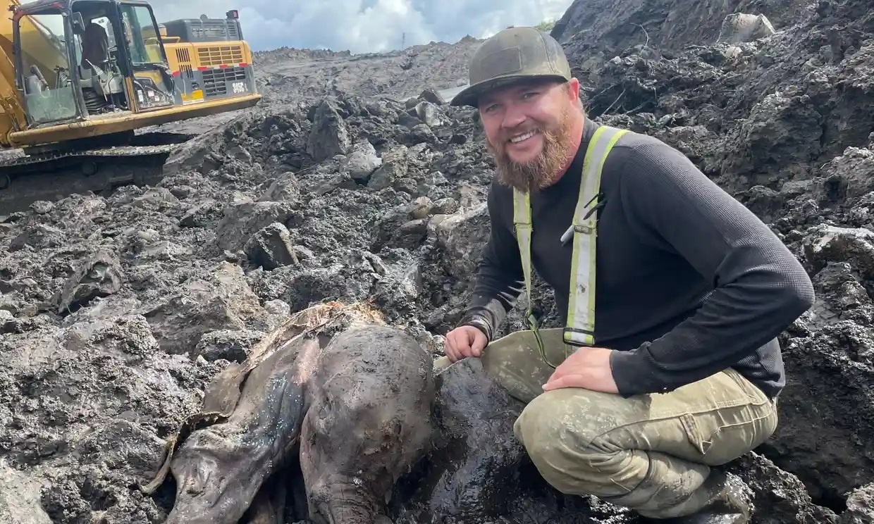 Khai quat duoc xac uop voi ma mut khi dang khai thac vang hinh anh