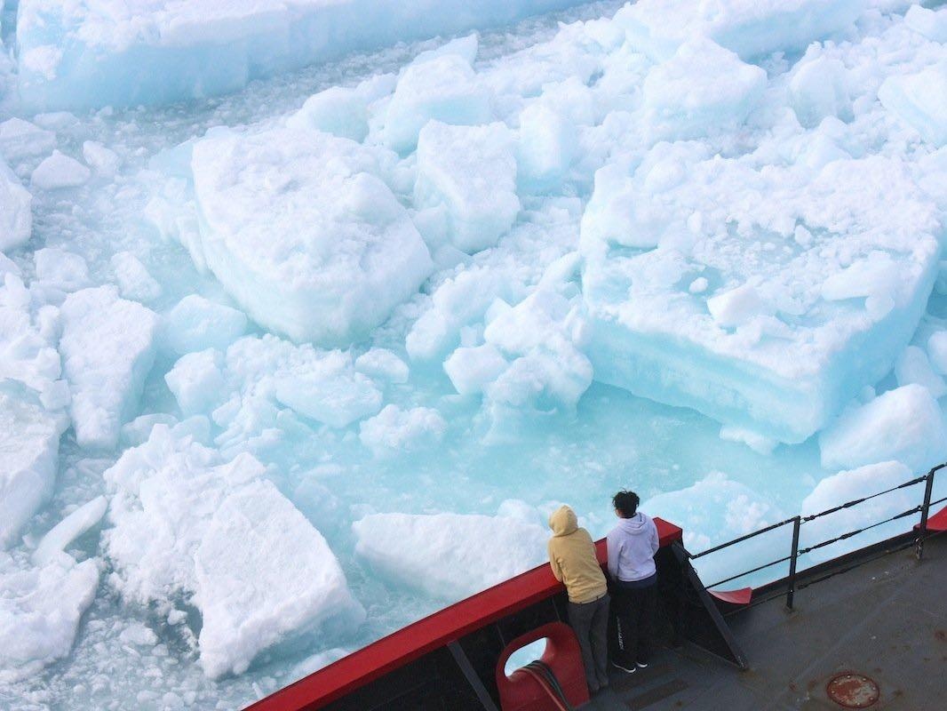 Noi lo virus 'zombie' hoi sinh hinh anh